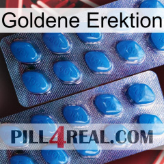 Golden Erection viagra2